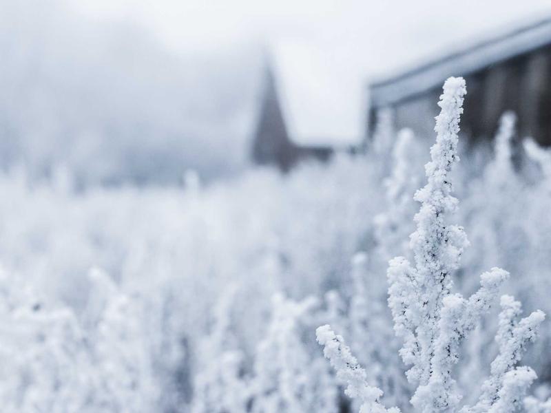 世界的尽头<br>qye0khhf.cn 是暴风雪的故乡